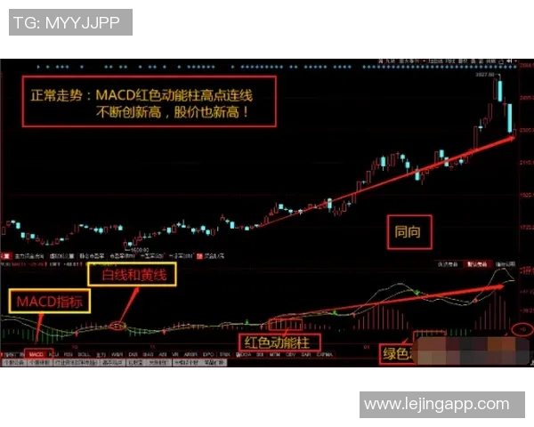 2026年3月份新闻从零基础到高水平攀岩耐力提升全攻略助你轻松征服每一座岩壁